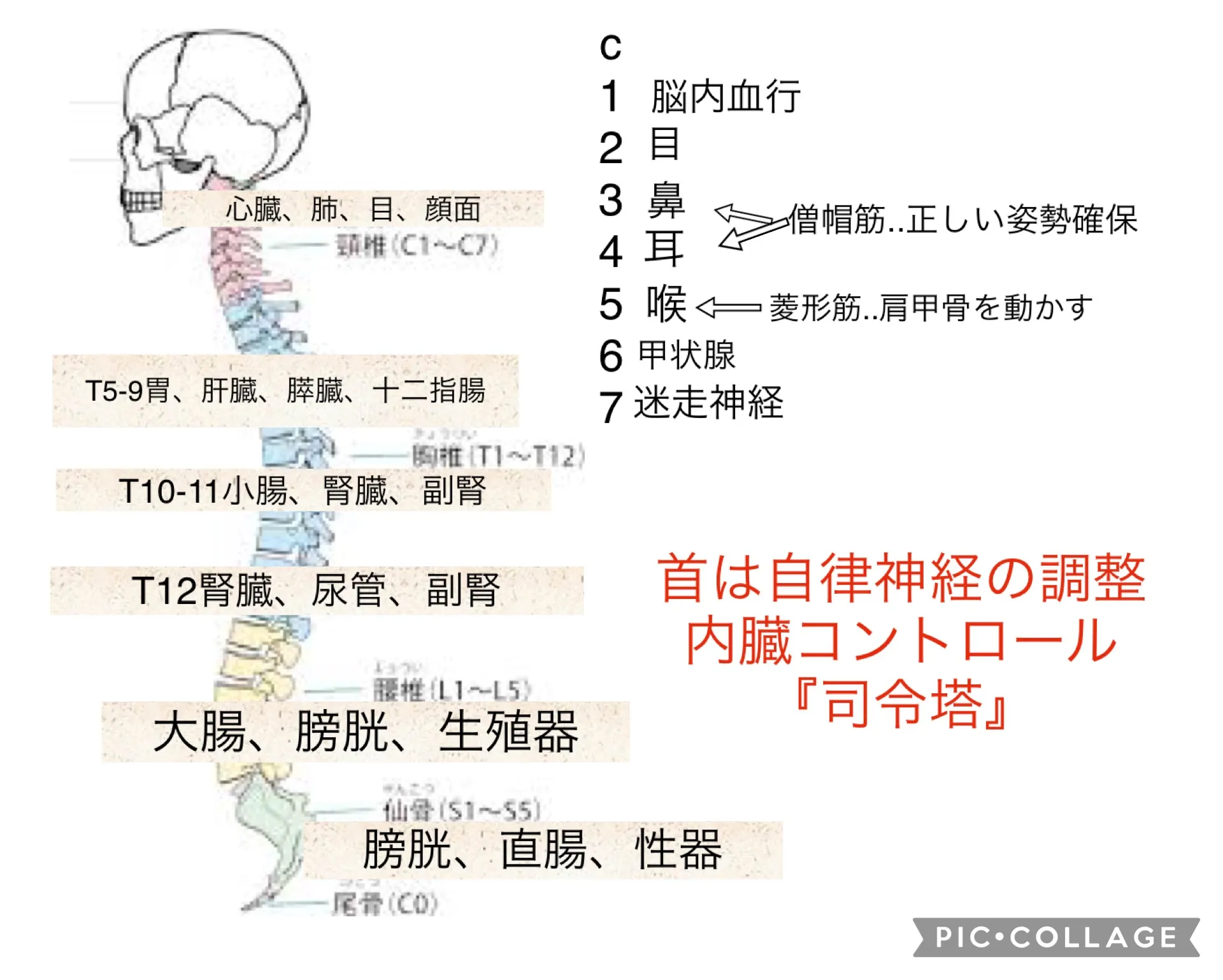 神奈川県唯一のチノザメソッドエステ